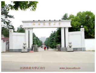 喜訊：江西農(nóng)業(yè)大學(xué)獸醫(yī)院正式入駐“豬易購”商城